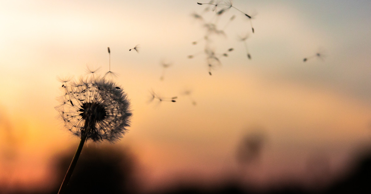 Die Freiheit des Klangs - Klangsteine Fessmann